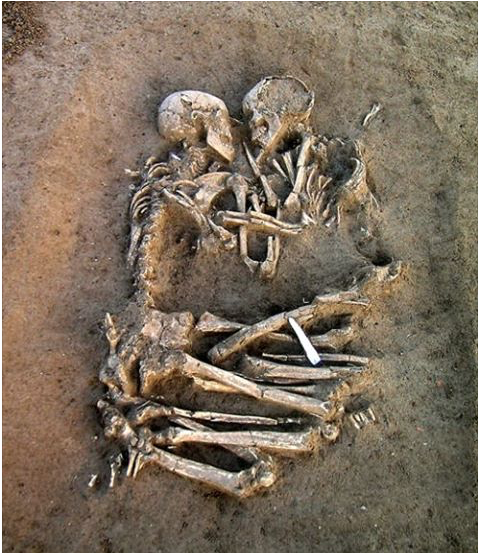 95cc62_3fc33f2e8ee04768882db4c4f2a94268~mv2