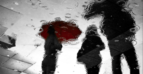 95cc62_b18de786e72a4fc097ff4c92f3517824~mv2