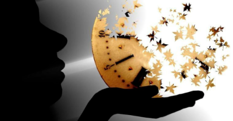 95cc62_f29b8e4bf4e543dcb3a9534fdebbf285~mv2