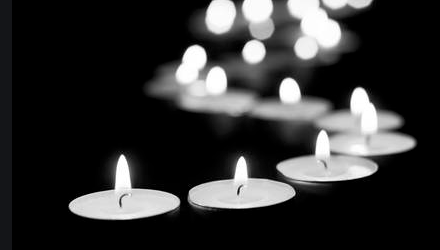 95cc62_fc5dbb4e5f034903a5af9c366eebb260~mv2