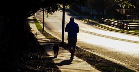 idean-azad-a456bxGtp6w-unsplash