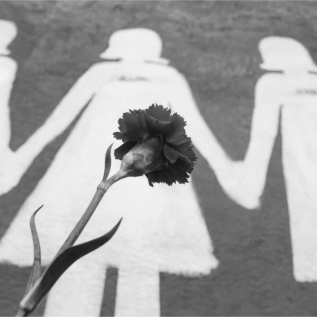 Silhouettes et fleur de nacre